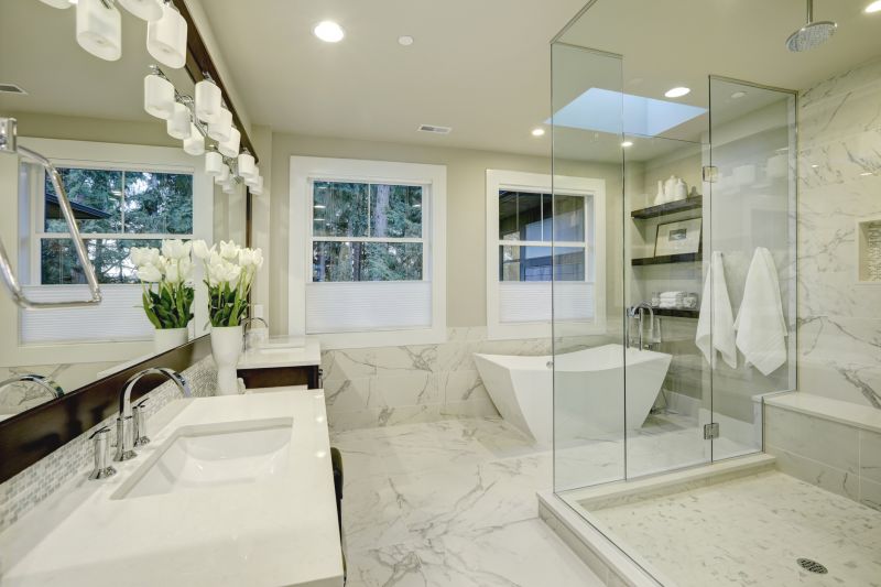 Contemporary Shower Enclosure